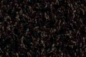 Ковролин Edel Vivaldi 133 фото  | FLOORDEALER