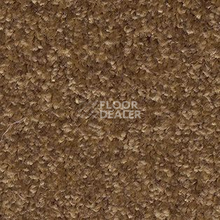 Ковролин AW Gaia Meridia 42 фото 1 | FLOORDEALER