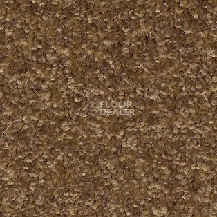 Ковролин AW Gaia Meridia 42 фото 1 | FLOORDEALER