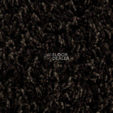 Ковролин Edel Vivaldi 133 фото 1 | FLOORDEALER