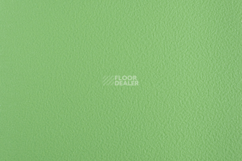 Линолеум Forbo SportLine Standart Fr 3040 фото 1 | FLOORDEALER