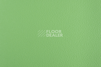 Forbo SportLine Standart Fr 3040 фото 1 | FLOORDEALER