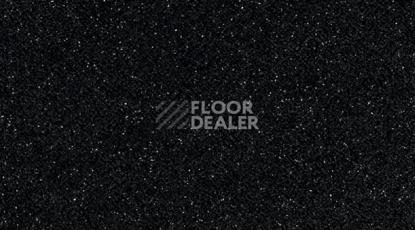 Линолеум Gerflor Tarasafe Standard 7801_Noir фото 1 | FLOORDEALER