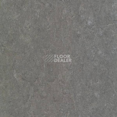 Линолеум Marmorette Acoustic DLW 121-159 фото 1 | FLOORDEALER