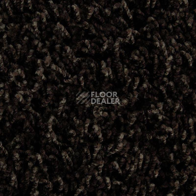 Ковролин Edel Vivaldi 133 фото 1 | FLOORDEALER