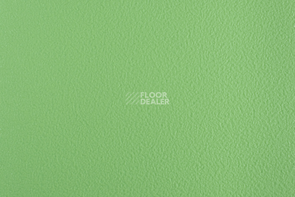 Линолеум Forbo SportLine Standart Fr 3040 фото 1 | FLOORDEALER