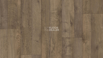 Линолеум Tarkett ENERGY Holly 2 фото 1 | FLOORDEALER