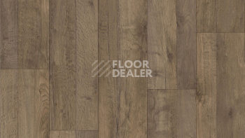 Линолеум Tarkett ENERGY Holly 2 фото 1 | FLOORDEALER