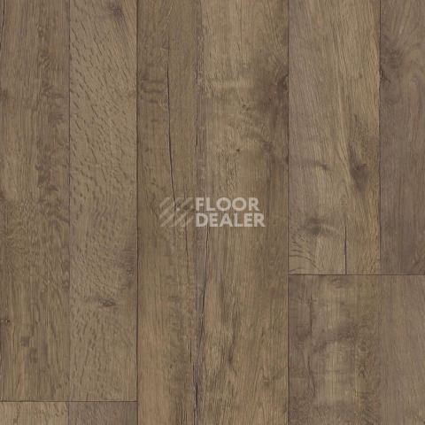 Линолеум Tarkett ENERGY Holly 2 фото 1 | FLOORDEALER