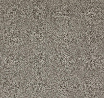 Ковролин Betap Transmit 70 фото 1 | FLOORDEALER