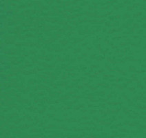 Taraflex Badminton 7.5