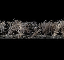 Forbo Coral Brush 5710 Asphalt Grey фото 3 | FLOORDEALER