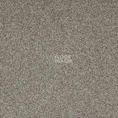 Ковролин Betap Transmit 70 фото 1 | FLOORDEALER