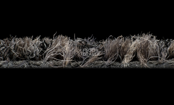 Forbo Coral Brush 5710 Asphalt Grey фото 3 | FLOORDEALER