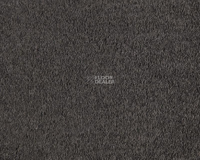 Lano Boheme 820 Slate фото 1 | FLOORDEALER