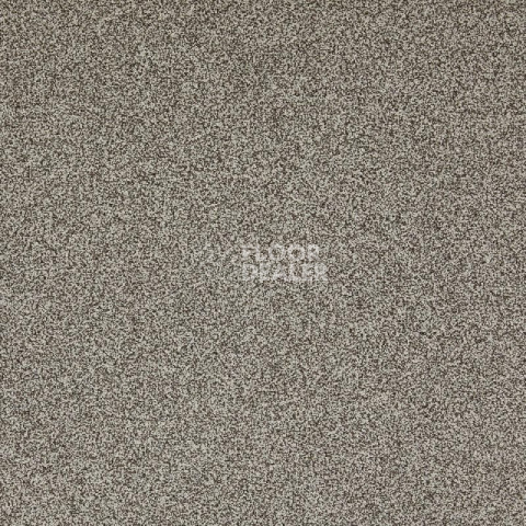 Ковролин Betap Transmit 70 фото 1 | FLOORDEALER