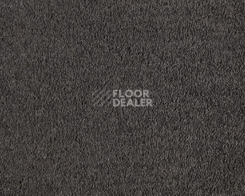 Ковролин Lano Boheme 820 Slate фото 1 | FLOORDEALER