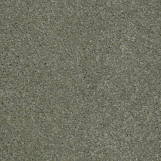 Ковролин Shaw Design Texture Platinum 344 фото 1 | FLOORDEALER