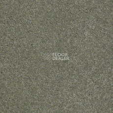 Ковролин Shaw Design Texture Platinum 344 фото 1 | FLOORDEALER