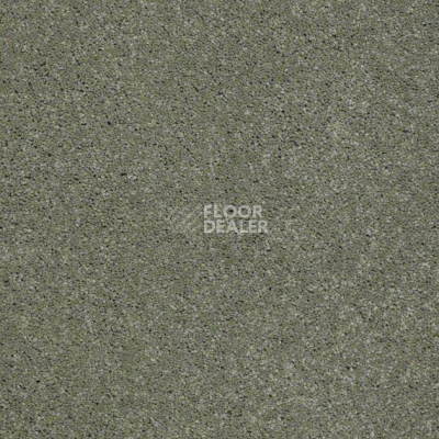 Ковролин Shaw Design Texture Platinum 344 фото 1 | FLOORDEALER