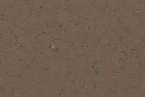 Кварцвиниловые полы Forbo Allura Colour C68018 фото  | FLOORDEALER