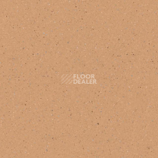 Линолеум Tarkett Zenit 701 фото 1 | FLOORDEALER