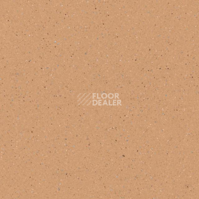 Линолеум Tarkett Zenit 701 фото 1 | FLOORDEALER