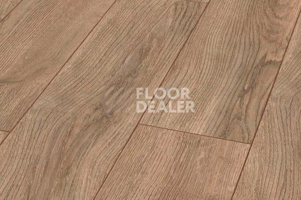 Ламинат My Floor Chalet 10мм Конкрет серый M1025 фото 1 | FLOORDEALER
