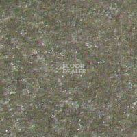 Ковролин Hidden Treasure Beaulie of America Everglades 03 фото 1 | FLOORDEALER