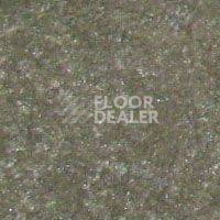 Ковролин Hidden Treasure Beaulie of America Everglades 03 фото 1 | FLOORDEALER