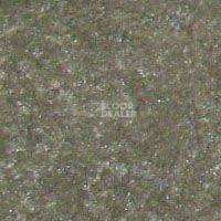 Ковролин Hidden Treasure Beaulie of America Everglades 03 фото 1 | FLOORDEALER