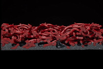 Forbo Coral Grip Hd 6123 / 6143 Wine фото 3 | FLOORDEALER