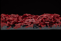 Forbo Coral Grip Hd 6123 / 6143 Wine фото 3 | FLOORDEALER