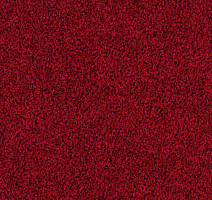 Ковровая плитка Desso Torso 4202 фото 1 | FLOORDEALER