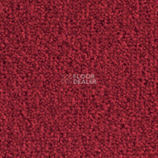Ковролин Balsan Bolero 560 фото 1 | FLOORDEALER