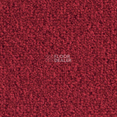 Ковролин Balsan Bolero 560 фото 1 | FLOORDEALER