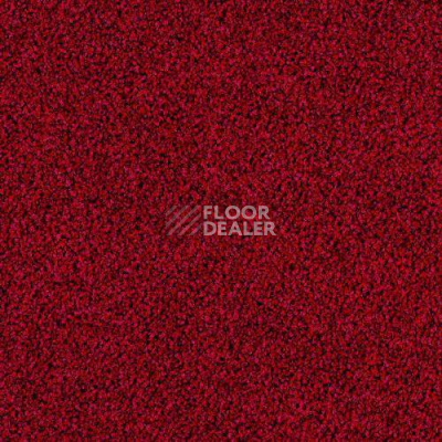 Ковровая плитка Desso Torso 4202 фото 1 | FLOORDEALER