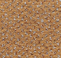 Ковролин Condor Carpets Argus 202 фото 1 | FLOORDEALER