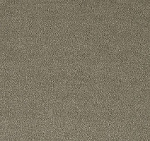 Ковролин Lano Pleasure Ple 0220 фото 1 | FLOORDEALER