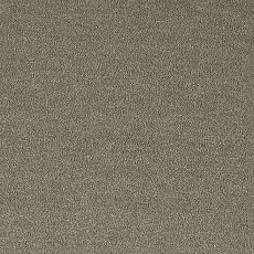 Ковролин Lano Pleasure Ple 0220 фото 1 | FLOORDEALER