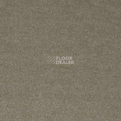 Ковролин Lano Pleasure Ple 0220 фото 1 | FLOORDEALER