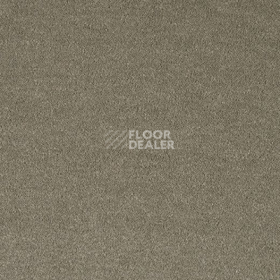 Ковролин Lano Pleasure Ple 0220 фото 1 | FLOORDEALER