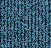 Ковролин Edel Gloss 141 фото 1 | FLOORDEALER