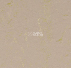 Линолеум Forbo Marmoleum Sport 83715 фото 1 | FLOORDEALER