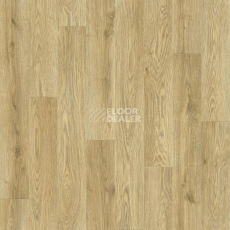 Линолеум Tarkett Stimul MADRID_4 фото 1 | FLOORDEALER