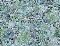 Ковролин Halbmond Pure Elements 13840 фото 1 | FLOORDEALER