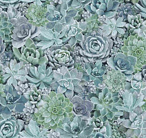 Ковролин Halbmond Pure Elements 13840 фото 1 | FLOORDEALER