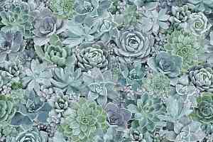 Ковролин Halbmond Pure Elements 13840 фото  | FLOORDEALER