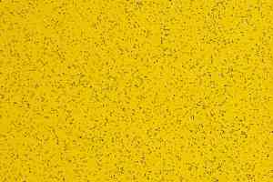 Линолеум Grabo Omnis 2.0 3072_05_263 фото  | FLOORDEALER