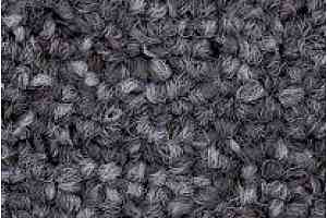 Ковровая плитка Tecsom 3580 db 013 фото  | FLOORDEALER